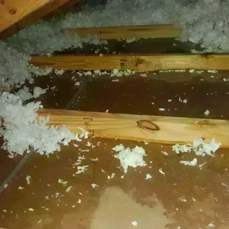 Attic Water Damage in Troy, IL