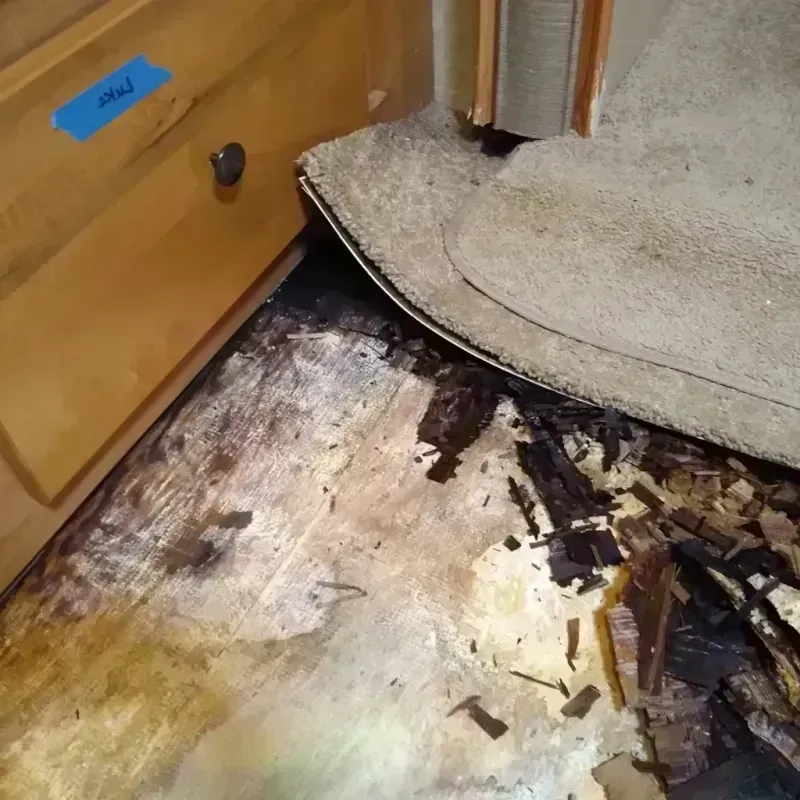 Wood Floor Water Damage in Troy, IL